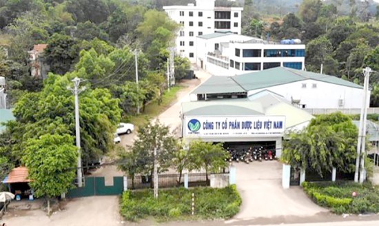Toàn cảnh trụ sở chính Công ty CP Dược liệu Việt Nam tại khu 8, xã Phù Ninh, huyện Phù Ninh.
