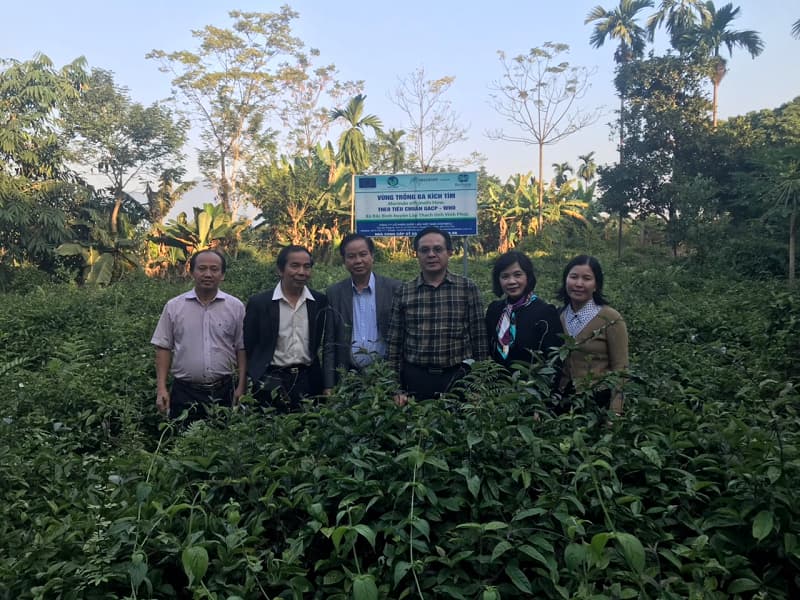 đoàn đại biểu y tế Lào thăm vùng trồng dược liệu của VIETMEC