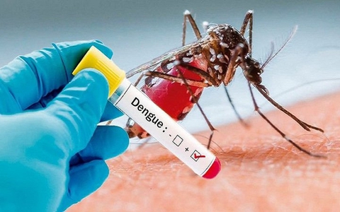 Đột biến gene liên quan đến muỗi sốt xuất huyết Aedes aegypti kháng hóa chất diệt côn trùng