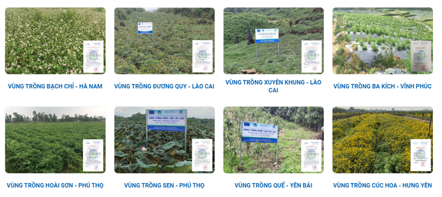 Một số vùng trồng dược liệu của Vietmec